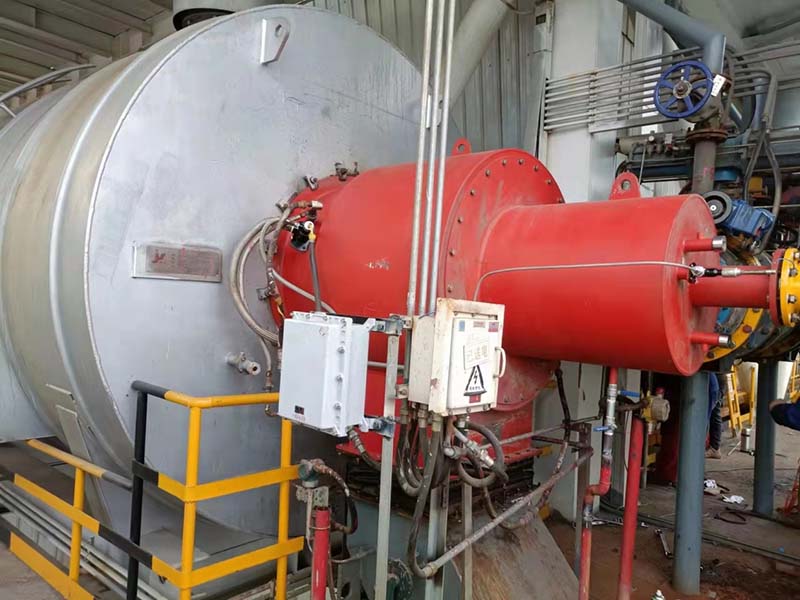 Biosyngas burner